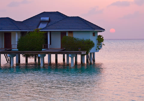 Bookmaldives Holiday on Maldives Holidays   Book Flights  Hotels And Holidays To Maldives