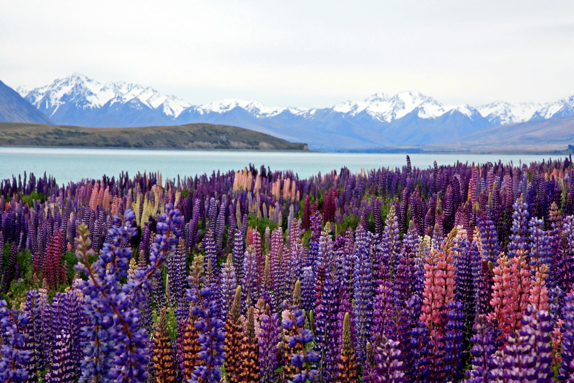 New Zealand 10