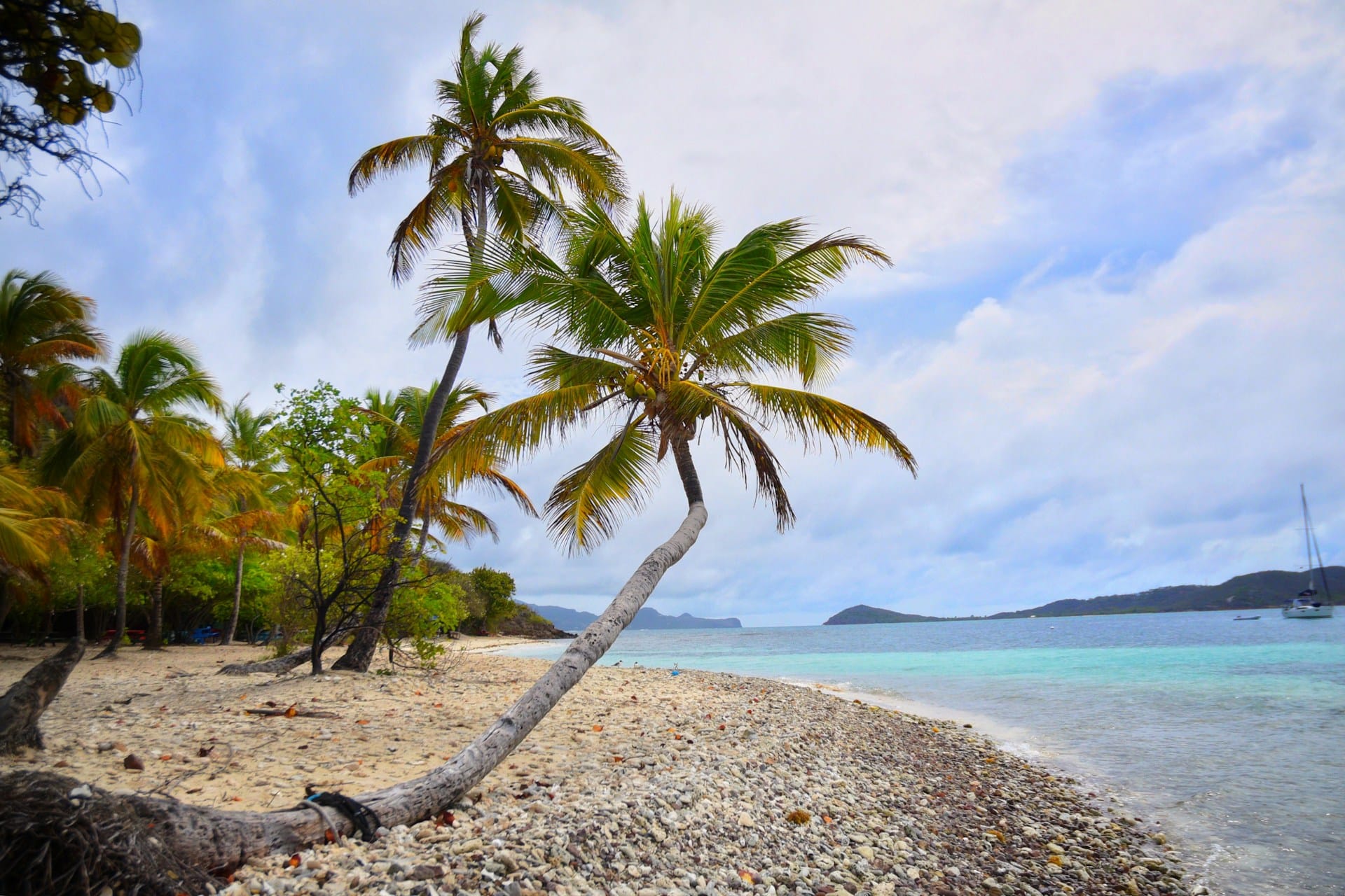 Saint Vincent and the Grenadines 5