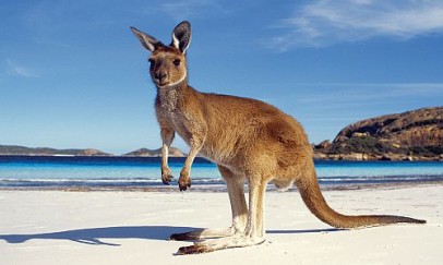 Australia