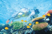 Australian Coastal Explorer – Reef, Rainforest & Island Delights
