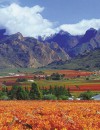 Best Of The Western Cape