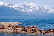 Canadian Rockies & an Alaskan Cruise: 2013
