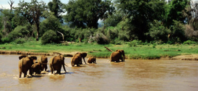 Elewana Safari By Road