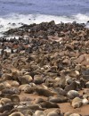 Namibia Panorama