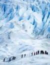 Patagonia & Tierra del Fuego at Christmas