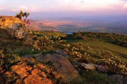 Rainbow Nation – Coach Tour
