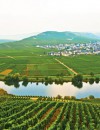 Romantic Rhine and Majestic Moselle