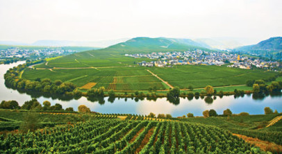 Romantic Rhine and Majestic Moselle