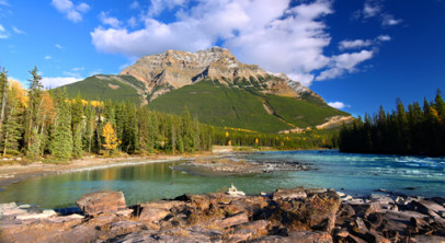 Scenic Spectacular Vancouver Inside Passage Cruise and Rockies