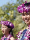 The Natural Wonders of Hawaii