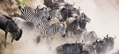 The Great Migration