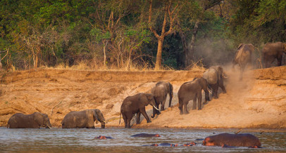 The Great Zambian Journey