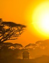 Wild Plains of Tanzania