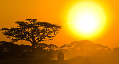 Wild Plains of Tanzania
