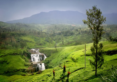 Culture, Countryside and Elephants