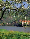 A Classical Danube Cruise