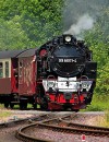 Harz Mountains & Berlin by Rail