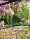 Monet’s Garden & Chateaux of the Loire by Rail