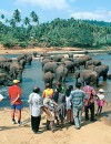 Relax & Discover – Sri Lanka with Kandy Add On