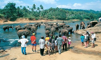 Relax & Discover – Sri Lanka with Kandy Add On