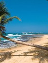 Relax & Discover – Sri Lanka
