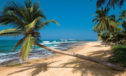 Relax & Discover – Sri Lanka