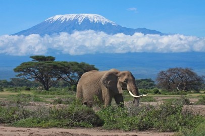 Safari in Style: Kenya & Tanzania