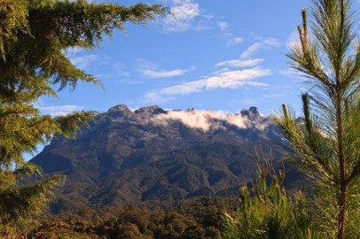The Natural Wonders of Borneo