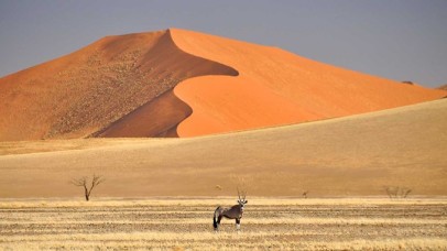 Timeless Namibia
