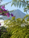 Costa Rica Rainforest and Ocean