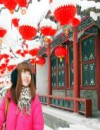 Chinese New Year Special (Shanghai to Beijing)