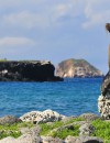 Galapagos Islands Expedition Cruise