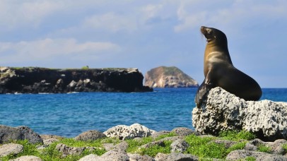 Galapagos Islands Expedition Cruise