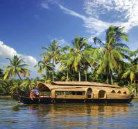 Kerala Backwaters and Beach Private Tour