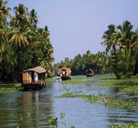 Kerala and the Southern Highlights