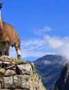 Peru: Mysteries of the Incas