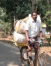 Cycling Tropical South India