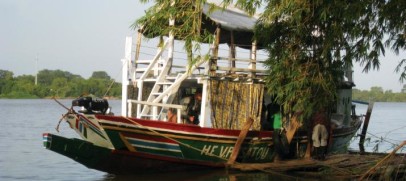 Senegal & Gambia River Cruise