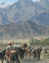 Ladakh Village Trails