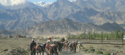 Ladakh Village Trails